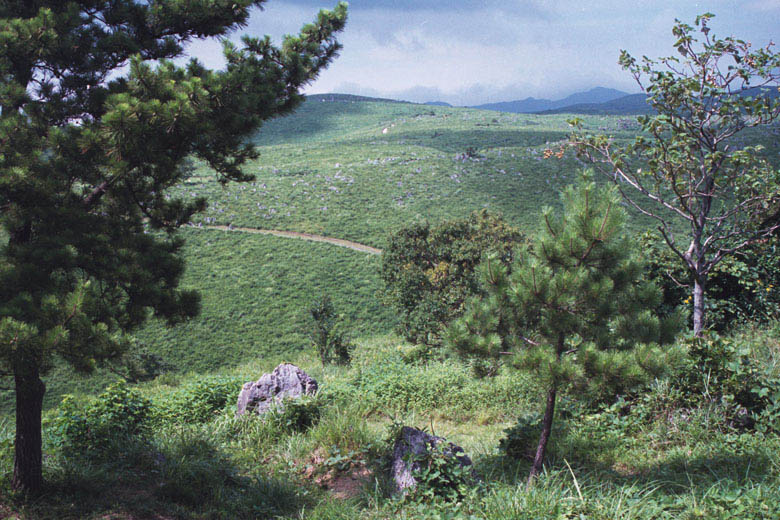 r9_25