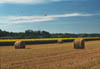 Hokkaido Field