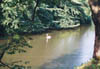 Hirosaki Castle Moat