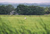 Hokkaido - Kushiro Marsh