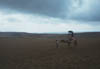 Tottori Sand Dunes