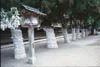 Izumo Taisha